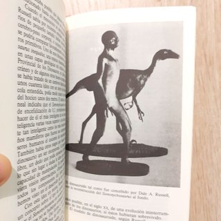 EL ENIGMA DE LOS DINOSAURIOS