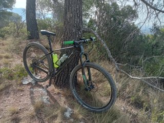 Orbea Alma Carbono MTB