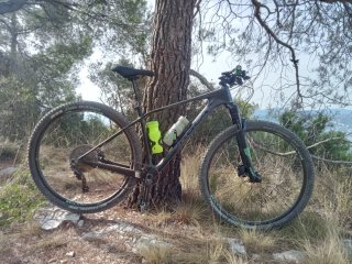 Orbea Alma Carbono MTB