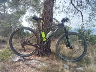Orbea Alma Carbono MTB