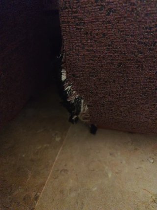 2 Sofás burdeos+gris Tela 3 Plazas