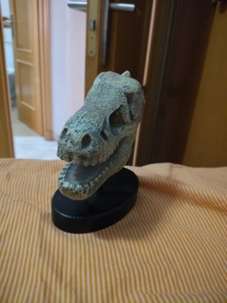 Cabeza de Dinosaurio Réplica