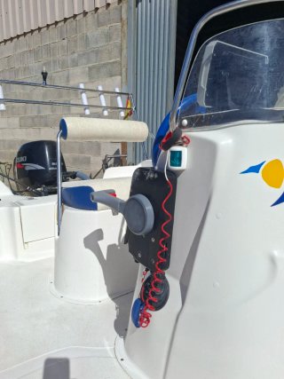 Barco Voraz 450 + Suzuki 40cv + Sonda + Remolque