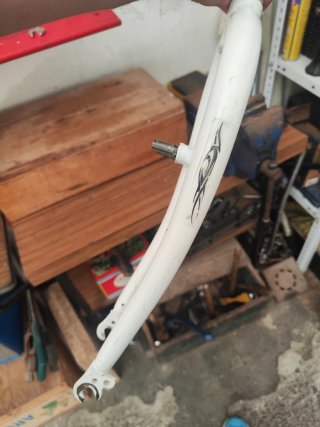 Forcella bici 24 bianca