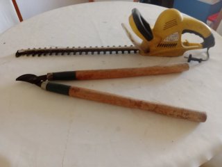 Cortasetos y tijera de podar