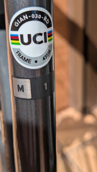 Giant TCR