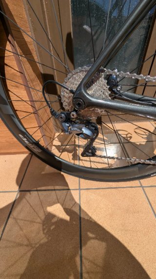 Giant TCR