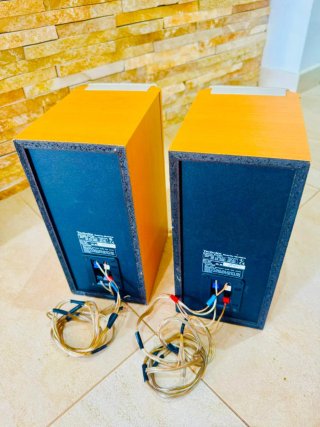 Diffusori Technics