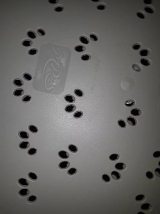 Letto in plastica per cani grigio