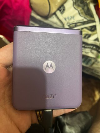 Motorola Razr 40 5G Lila