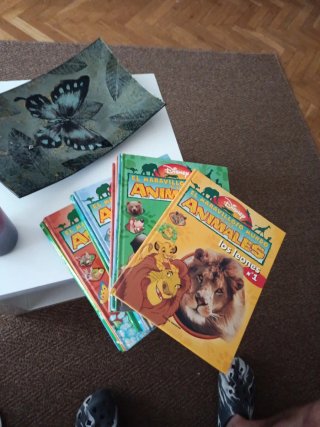Libros de animales Disney 16 libros
