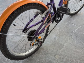 Bicicleta infantil 20 Conor