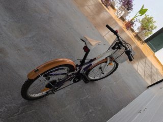 Bicicleta infantil 20 Conor