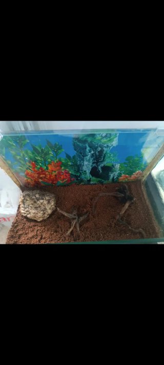 Acuario 60L
