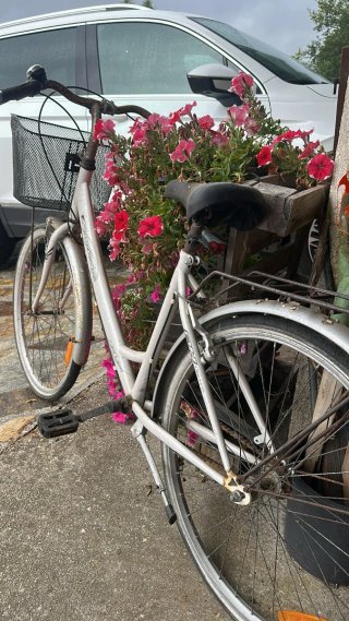 Bicicleta Clásica Blanca con Cesta