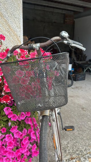 Bicicleta Clásica Blanca con Cesta
