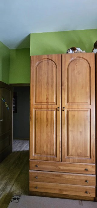 Mueble comedor y armarios