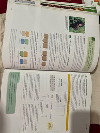 Libro Biología 2 Bachillerato Serie Observa
