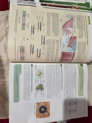 Libro Biología 2 Bachillerato Serie Observa