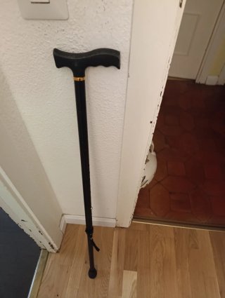 Bastón negro con detalles dorados