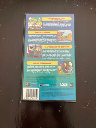 Due VHS The Simpson