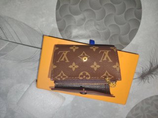 Cartera Louis Vuitton Marrón