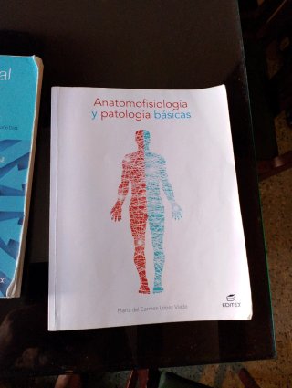 Lote de libros curso 1º técnico de farmacia  Grado