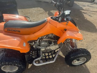 Atv Quad goes 450Te