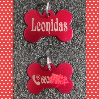 Placa para mascota personalizada
