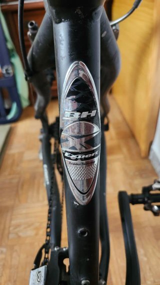 Bicicleta BH Expert Ruedas Carretera
