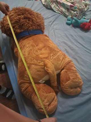 Peluche Leone Gocciole Limited Edition