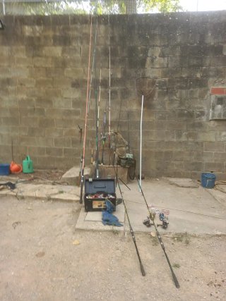 Lote cañas de pescar y red