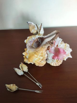 Conchiglie decorative