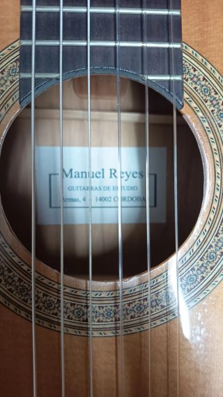 Guitarra Manuel Reyes
