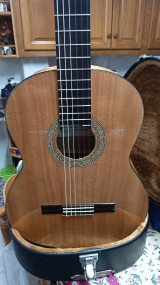 Guitarra Manuel Reyes