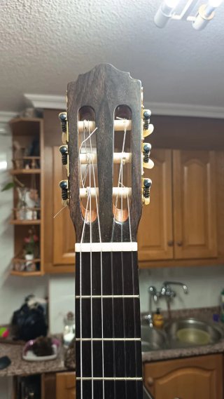 Guitarra Manuel Reyes