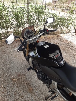 Honda CB600F Hornet Negra