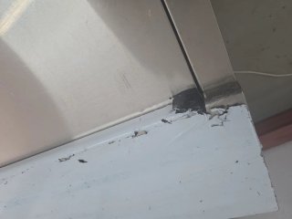 Botellero Infrico EFP1000EG 2 Puertas