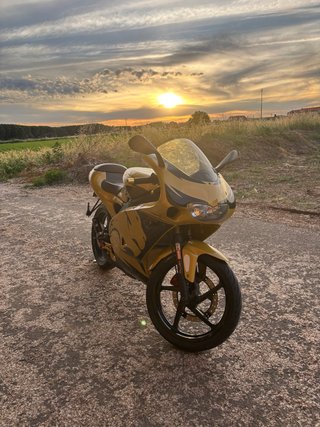 Aprilia RS50 Culo Avispa Amarilla