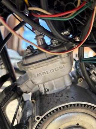 Aprilia RS50 Culo Avispa Amarilla