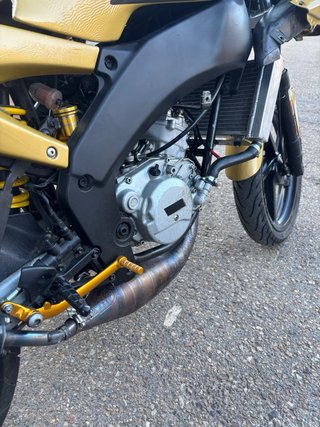 Aprilia RS50 Culo Avispa Amarilla