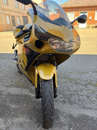 Aprilia RS50 Culo Avispa Amarilla