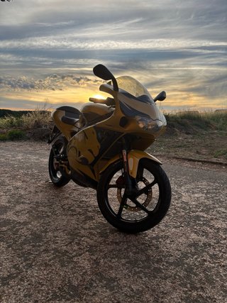 Aprilia RS50 Culo Avispa Amarilla