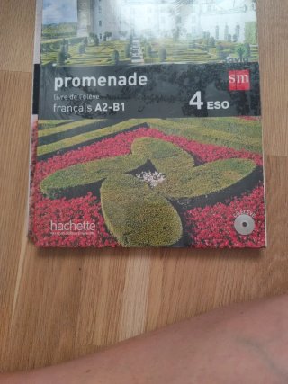 Promenade, français A2-B1, 4 Secundaria Livre d...