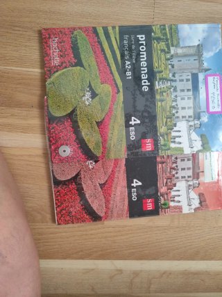 Promenade, français A2-B1, 4 Secundaria Livre d...