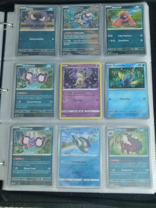 Carte Pokémon EX
