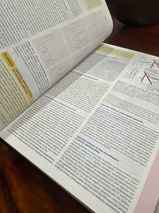 Harrison principios de medicina interna 2 tomos.