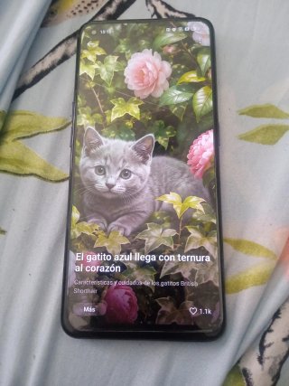 Oppo Find X5 Lite 256GB 8+8GB RAM