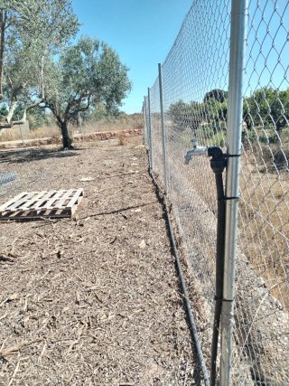 Oportunidad: Terreno con olivos.