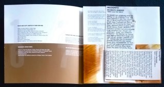 Incognito - Future Remixed CD Europa 2000